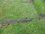 image of grave number 173476
